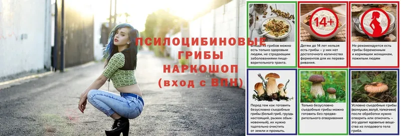 как найти закладки  Мышкин  Псилоцибиновые грибы Psilocybe 